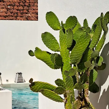 Nyaraló Casas Da Ginja - Private Pool *